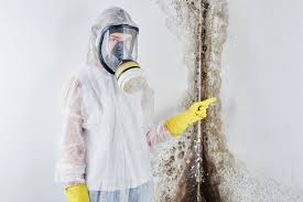 Kentfield, CA Mold Removal & Remediation Company